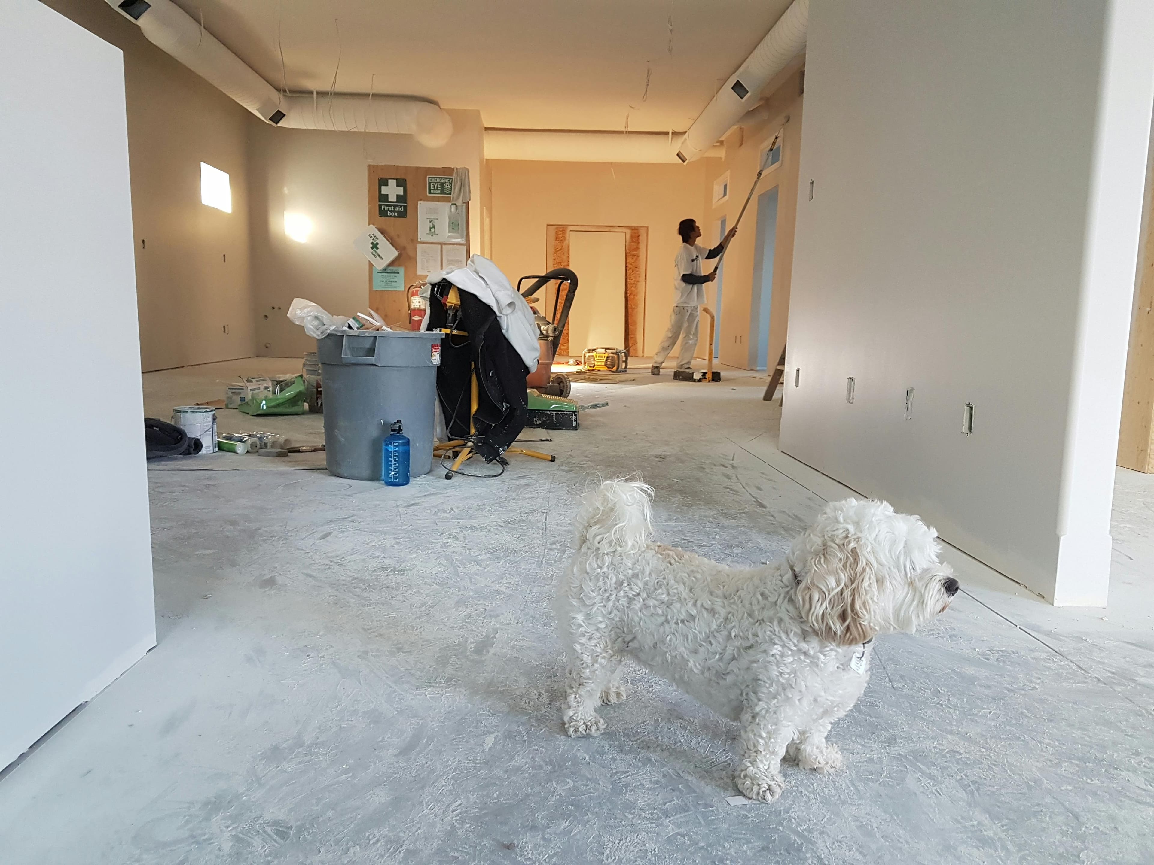 Remodeling project 2